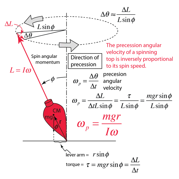 Precession Diagram